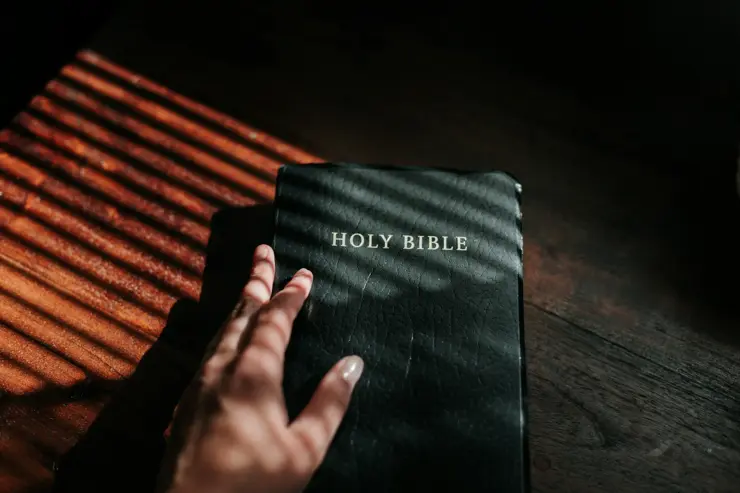 Open Holy Bible with sunlight streaming through the pages