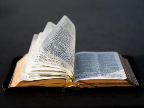 Sunday Services