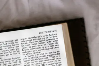 Glimpses of Jesus Through the Priesthood